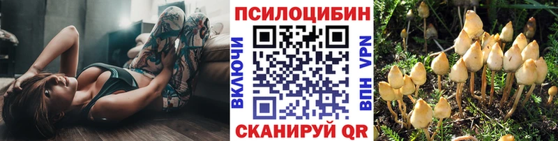 Галлюциногенные грибы Magic Shrooms  кракен ONION  Змеиногорск 
